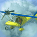 Sport Pilot